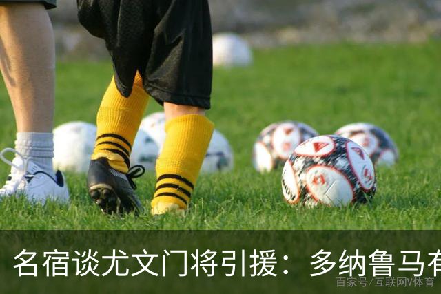 名宿谈尤文门将引援：多纳鲁马有短板 3C离开是“严重错误”